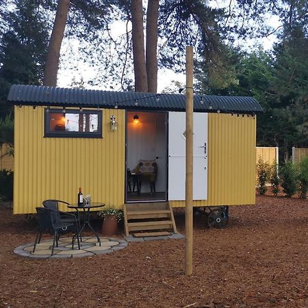 Forest Heath Shepherd'S Huts Ringwood Dış mekan fotoğraf