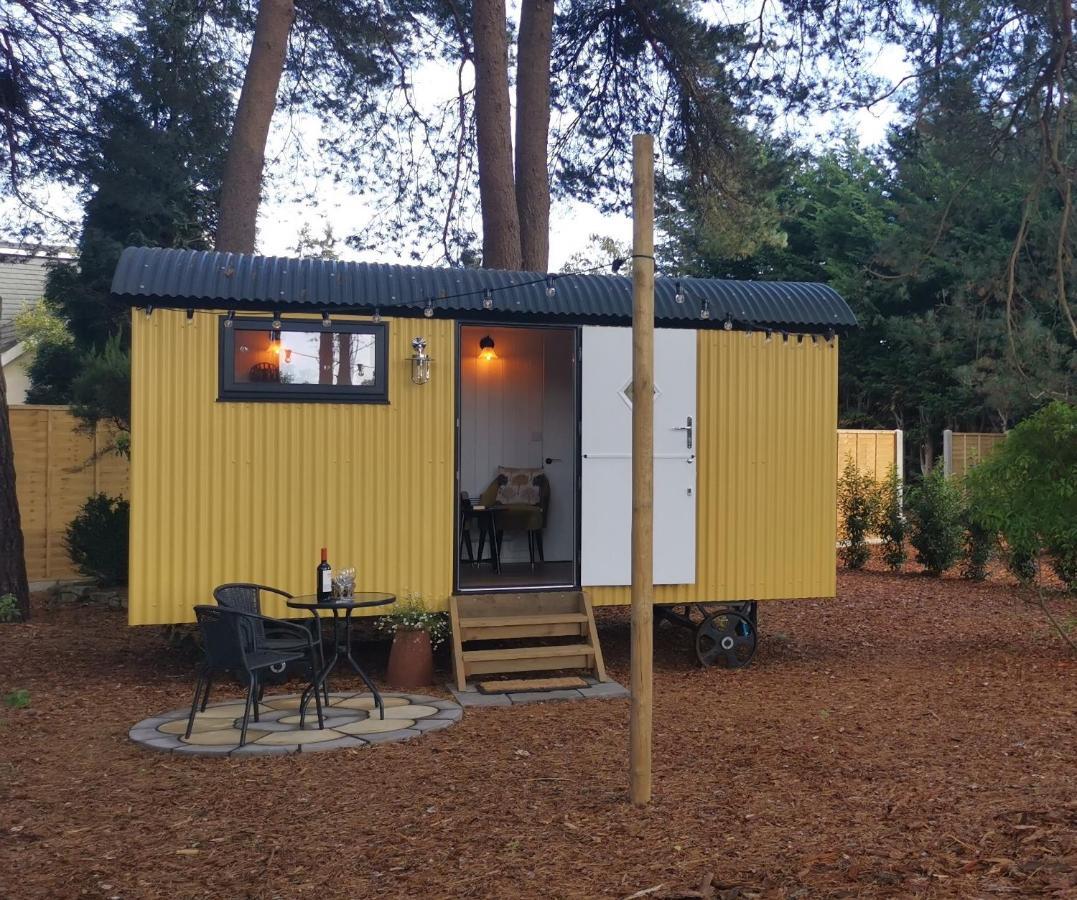 Forest Heath Shepherd'S Huts Ringwood Dış mekan fotoğraf
