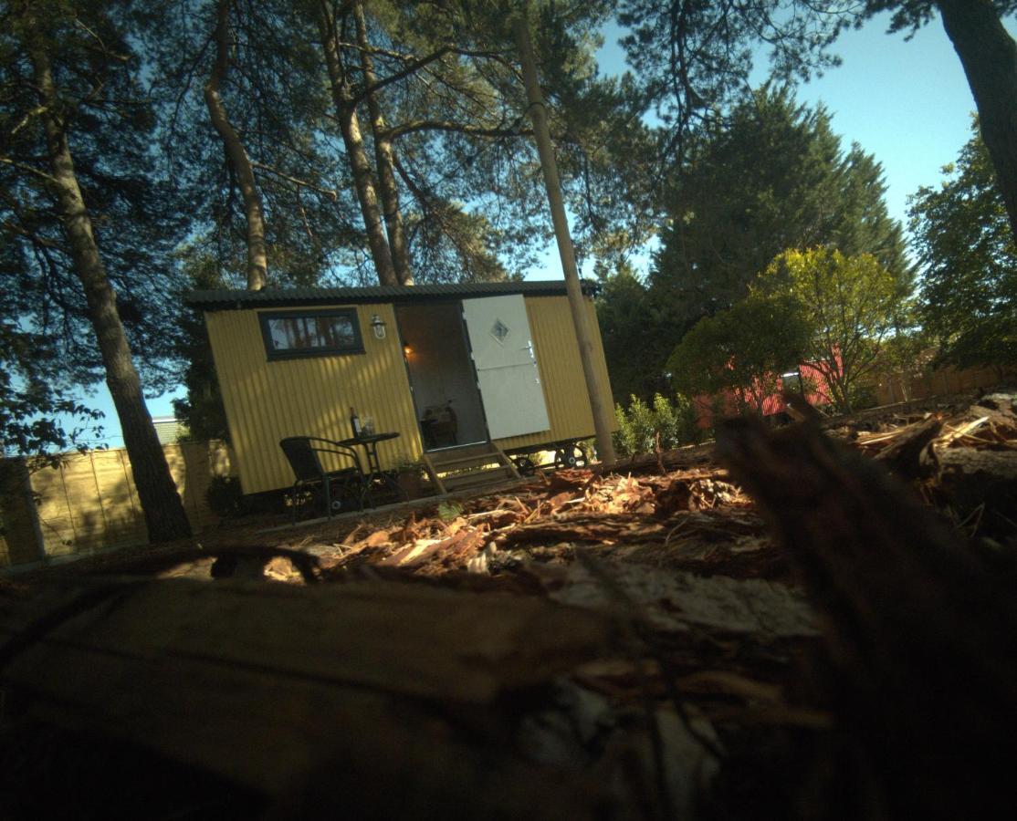 Forest Heath Shepherd'S Huts Ringwood Dış mekan fotoğraf