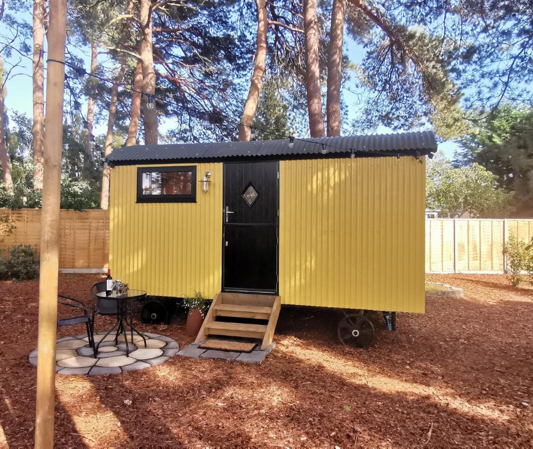 Forest Heath Shepherd'S Huts Ringwood Dış mekan fotoğraf
