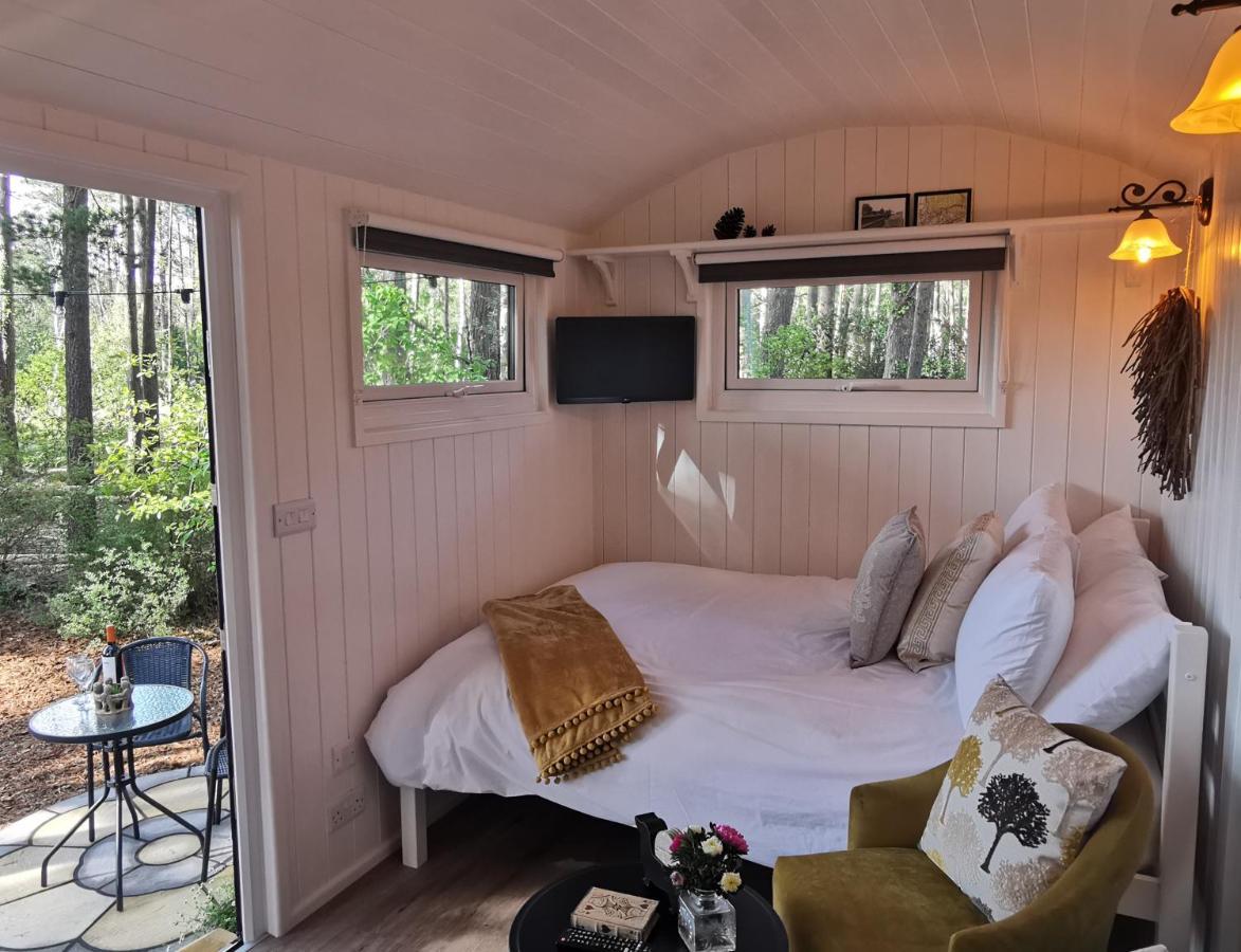 Forest Heath Shepherd'S Huts Ringwood Dış mekan fotoğraf