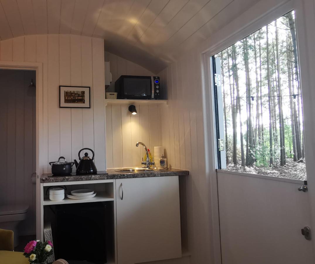 Forest Heath Shepherd'S Huts Ringwood Dış mekan fotoğraf