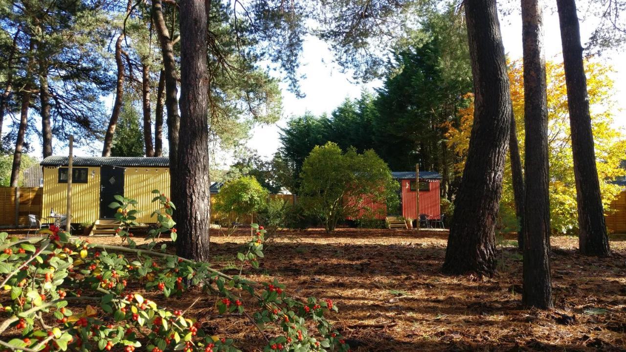 Forest Heath Shepherd'S Huts Ringwood Dış mekan fotoğraf