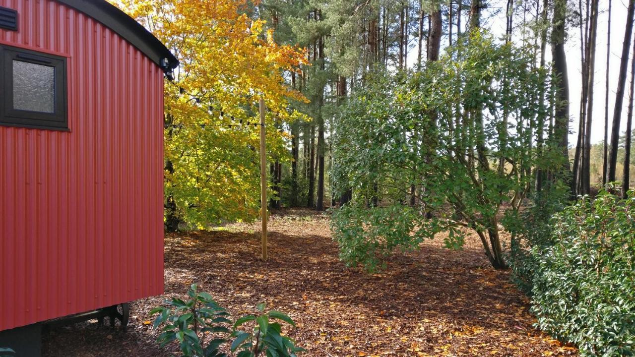 Forest Heath Shepherd'S Huts Ringwood Dış mekan fotoğraf