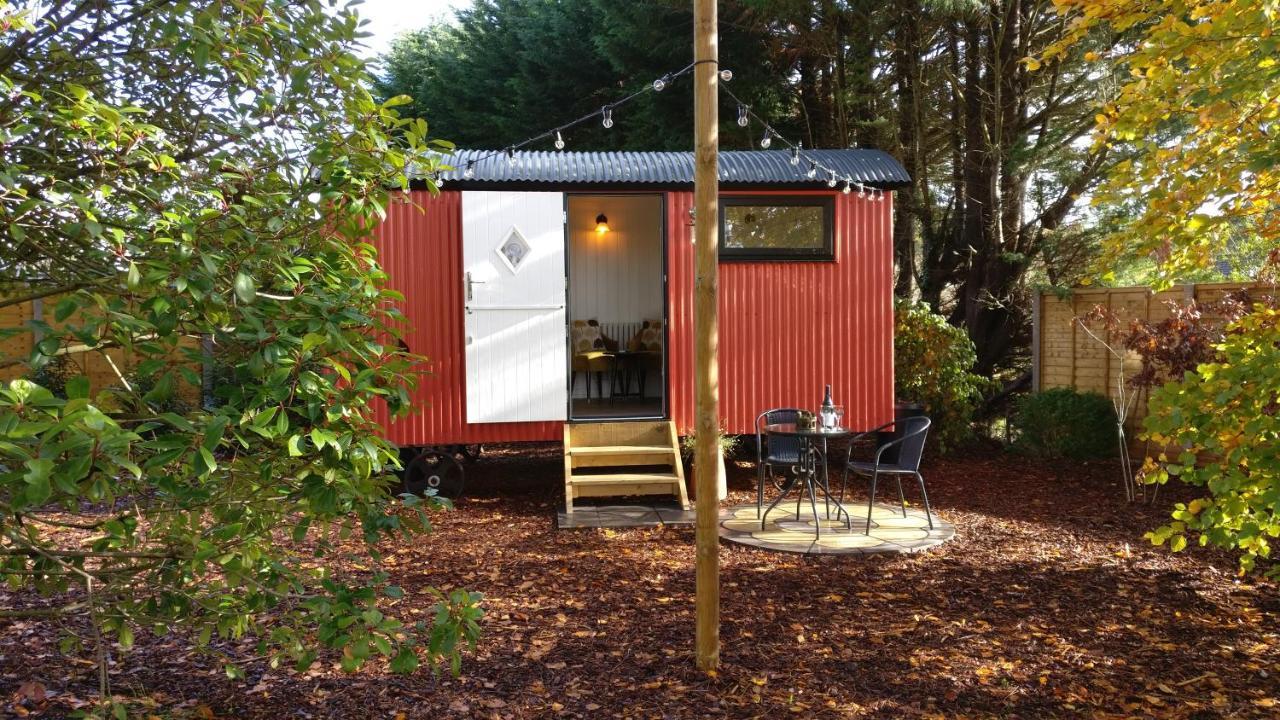 Forest Heath Shepherd'S Huts Ringwood Dış mekan fotoğraf