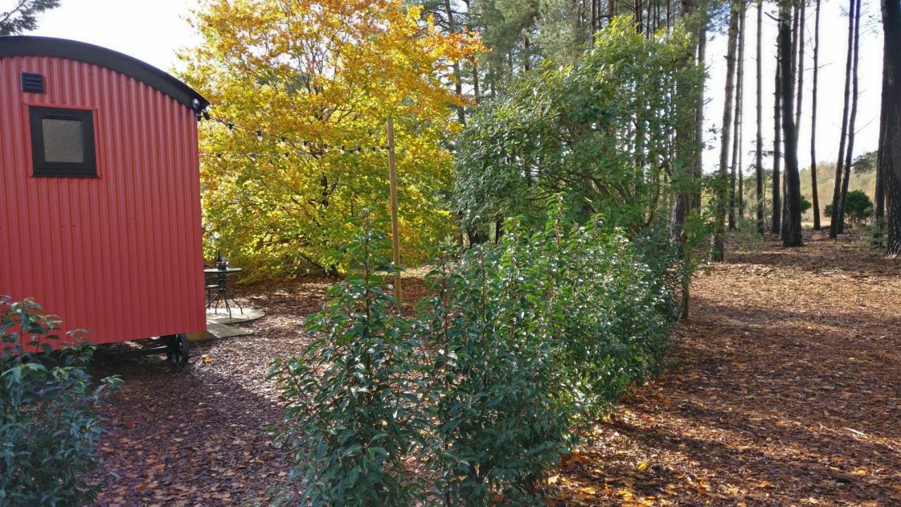 Forest Heath Shepherd'S Huts Ringwood Dış mekan fotoğraf