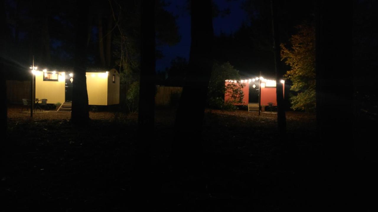 Forest Heath Shepherd'S Huts Ringwood Dış mekan fotoğraf