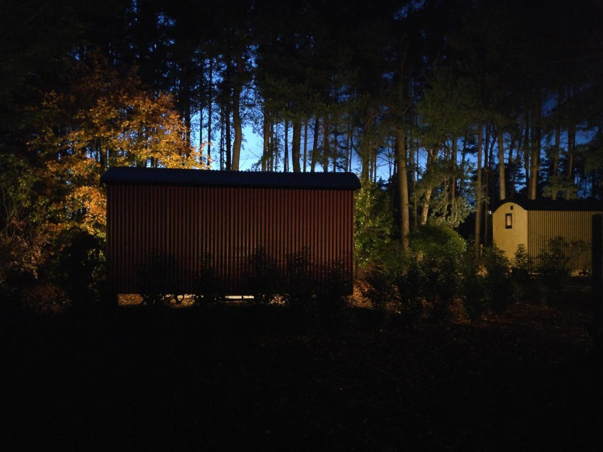 Forest Heath Shepherd'S Huts Ringwood Dış mekan fotoğraf